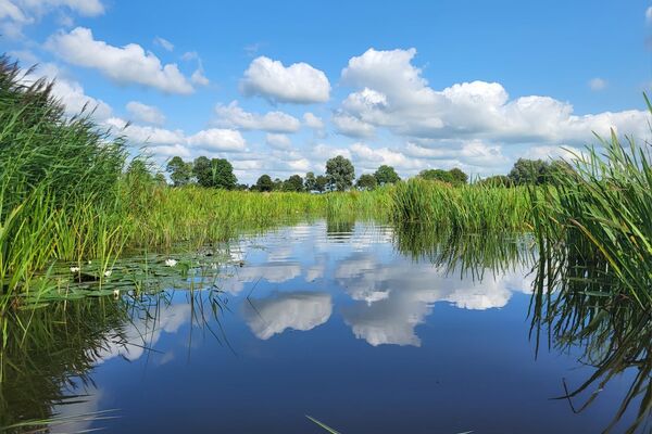 water-mei-pompebleden